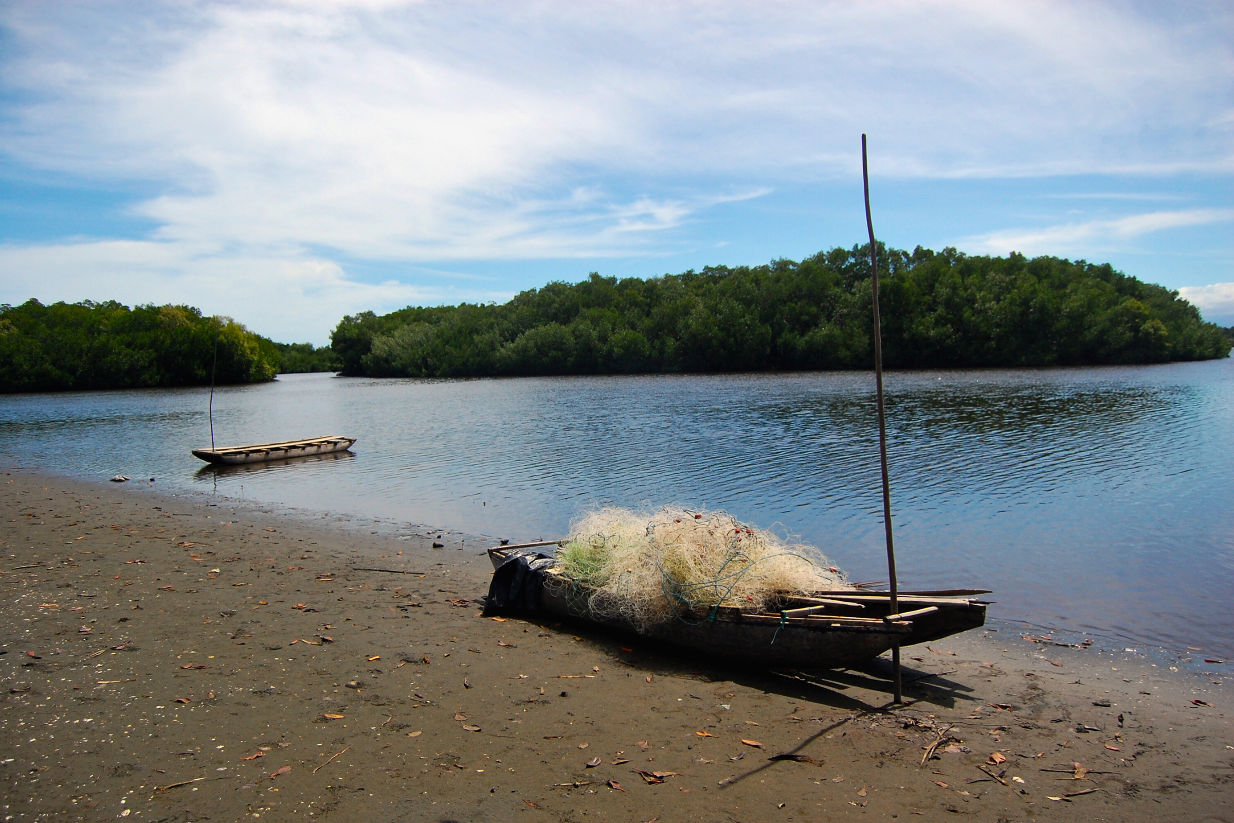 tami island (4).webp